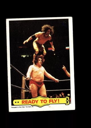 1985 Topps WWF Pro Wrestling Stars #53 Ready To Fly!