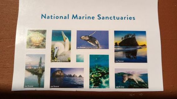 8- NATIONAL MARINE SANCTUARIES. FOREVER US POSTAGE STAMPS