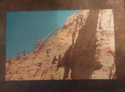 Zion National Park Postcard 