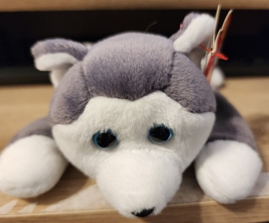 NEW - TY Beanie Baby - "Nanook"