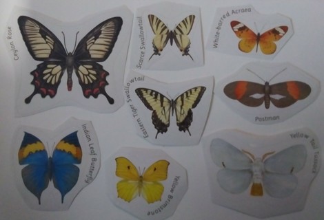 Butterfly and moth stickers with identification names.