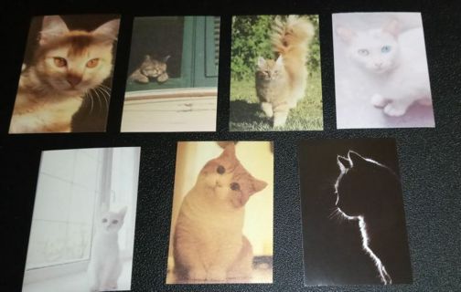 7 pc Dollhouse Miniature Prints Cats