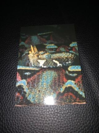 1993 San Diego Zoo CARD