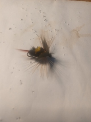 Fishing Fly