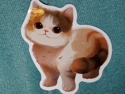 Cat Cool new 1⃣ vinyl laptop sticker no refunds regular mail very nice quality