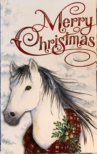 Beautiful Christmas Pony- 3 x 5” MAGNET - GIN ONLY