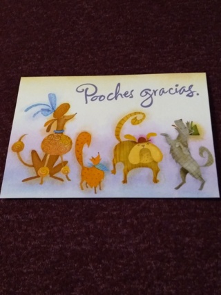 Thank You Notecard - Pooches gracias