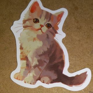 Cat Cute one new vinyl sticker no refunds regular mail only Very nice these are all nice