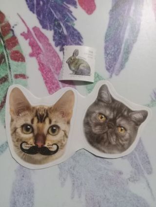 Cat Stickers