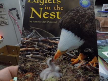 Eagles in the Nest by Annable Bay Pimentel