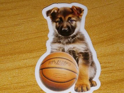 Dog Cute nice one vinyl sticker no refunds regular mail only Very nice quality!