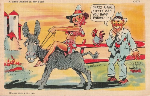 Vintage Unused Postcard: b: Comic, Linen: That's a Fine Little A*& You Have There