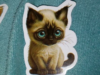 Cat Cute 1⃣ new vinyl laptop sticker no refunds regular mail very nice quality