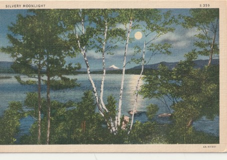 Vintage Unused Postcard: Pre Linen: (gin 6): Moon Light Lake