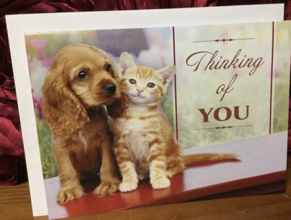 Thinking of You Puppy and Kitten Card