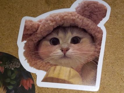 Cute one vinyl lap top sticker no refunds regular mail very nice quality