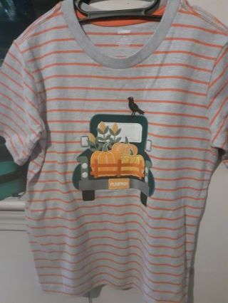 Boys 2 piece fall set. Size 10 and from Gymboree.