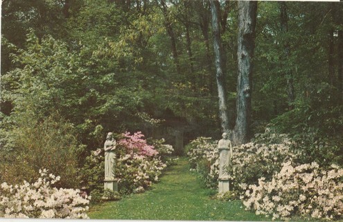 Vintage Unused Postcard: m: Winterthur Gardens, Winterthur, Delaware