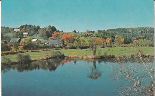 Vintage Used Postcard: a: New England Touch of Fall