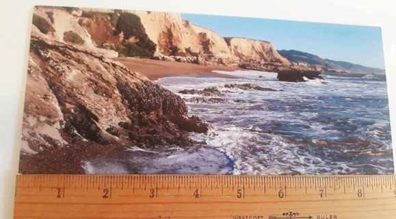 Point Reyes Beach, California Postcard (new, unused)