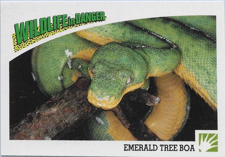 1992 Panini Wildlife in Danger #54 Emerald Tree Boa