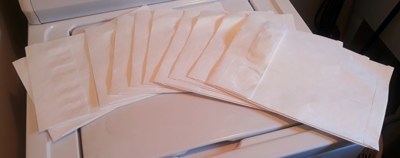 10 Large White Mailing Envelopes