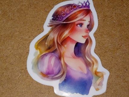 Princess one Cute new vinyl sticker no refunds regular mail only Very nice