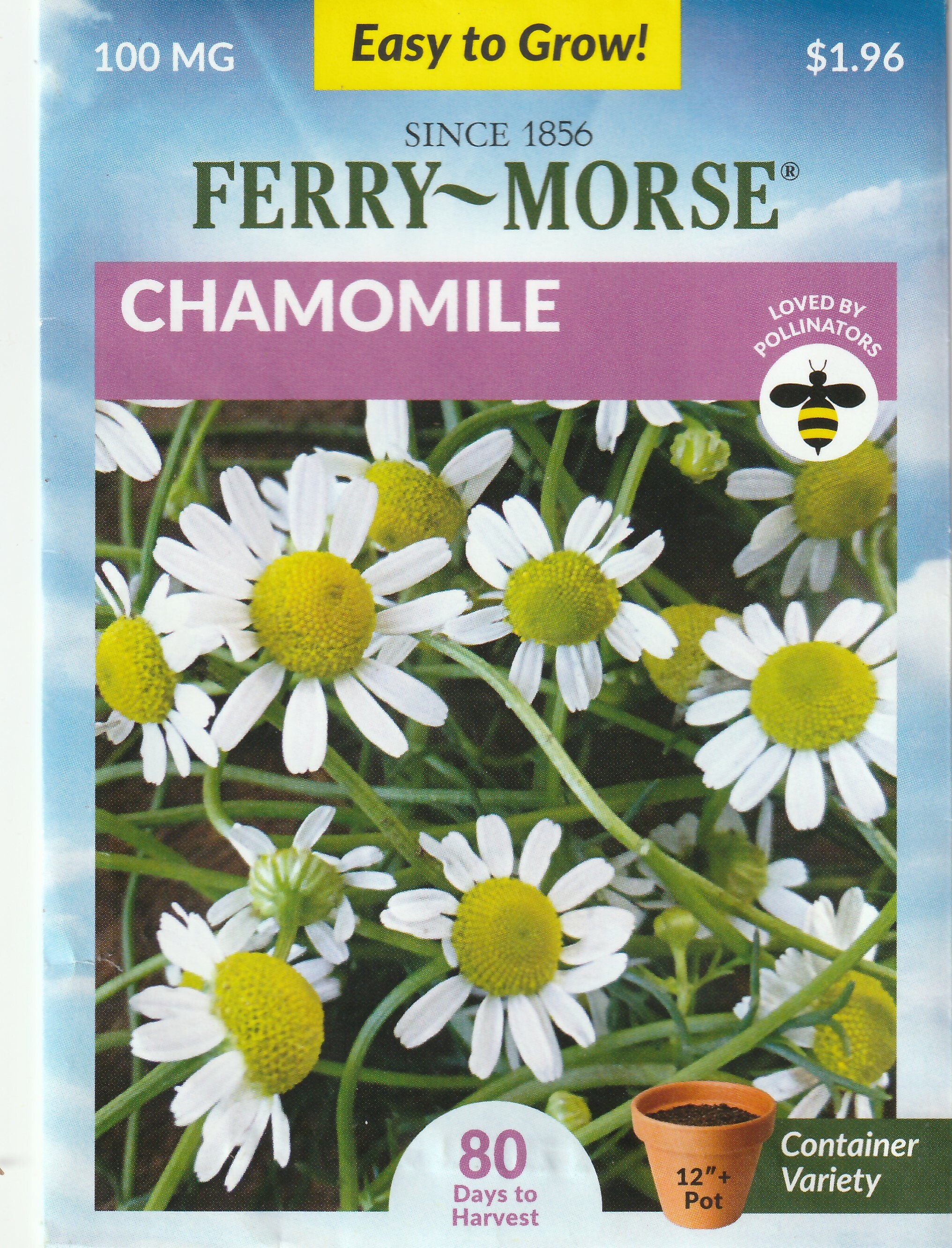 FREE: Chamomile - 1 PACK SEEDS