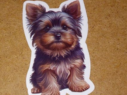 Dog Cute one new nice vinyl lab top sticker no refunds regular mail high quality!