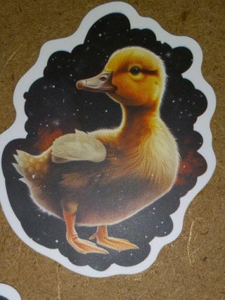 Cute new one vinyl sticker no refunds regular mail win2or more get bonus