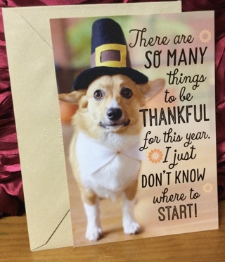 Pilgrim Dog Thanksgiving Card