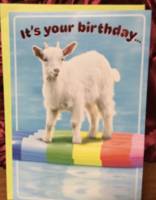 Goat Standing on Float Birthday Card