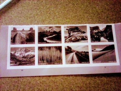 8- ANSEL ADAMS PHOTOGRAPHER. FOREVER US POSTAGE STAMPS