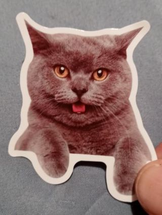 Cat Cute vinyl sticker no refunds regular mail only Very nice quality! Win 2 or more get bonus