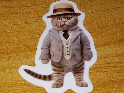 Cat Cute new one vinyl laptop sticker no refunds regular mail nice quality