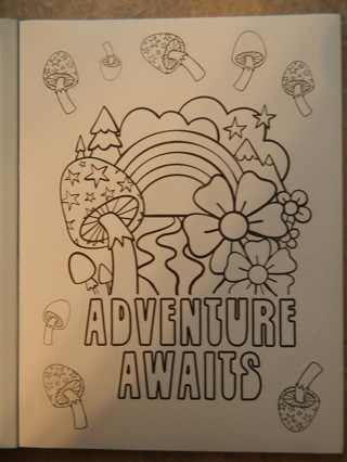 Fun new stickers.  COLOR your own "ADVENTURE AWAITS" Stickers!!!
