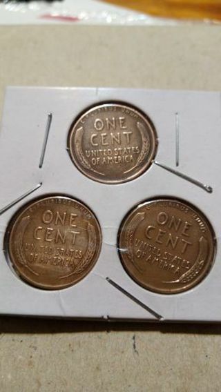 3- DENVER MINT. RANDOM WHEAT PENNY'S.IN 2/2 HOLDER.. YEP YOU DECIDE THE PRICE