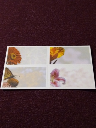 Floral Mini Cards