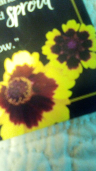 Plains Coreopsis,seeds package