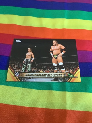 WWE 2019 Topps Summerslam All-Stars Collectible Wrestling Card #MSS-18 D-Generation X