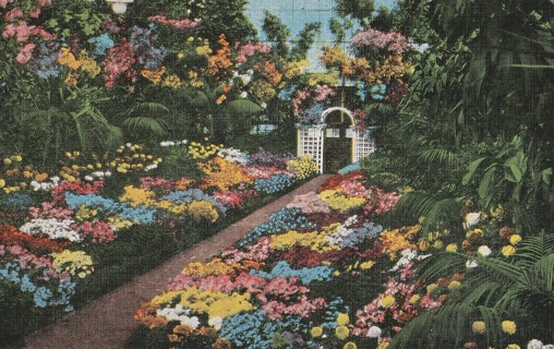 Vintage Unused Postcard: Linen: Shaw's Garden, Greenhouse, St Louis, MO