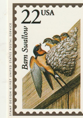 Vintage Wildlife America Collector/Trade Card: Barn Swallow