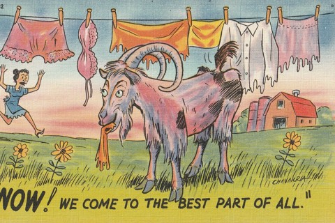 Vintage Unused Postcard: b: Comic, Linen: Here Comes The Best Part