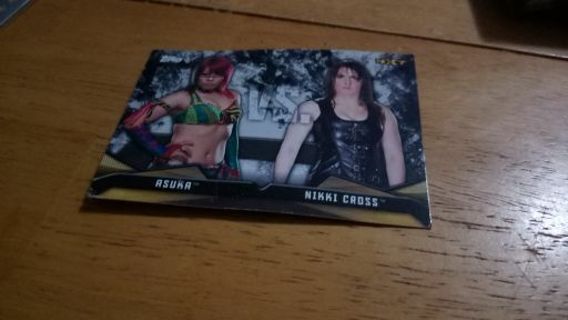 Auska vs. Nikki Cross