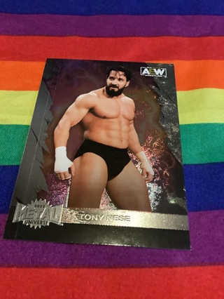 WWE Skybox AEW Metal Universe Collectible Wrestling Card #65 Tony Nese 