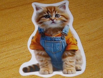 Cat Cute one new vinyl lap top stickers no refunds regular mail only