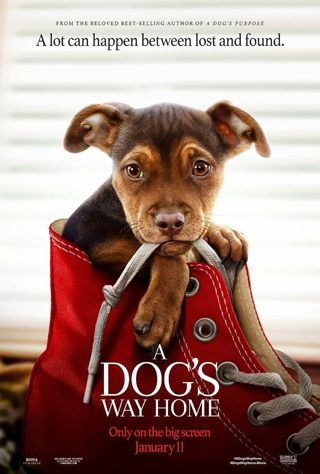 A Dog's Way Home (SD) (Movies Anywhere) 
