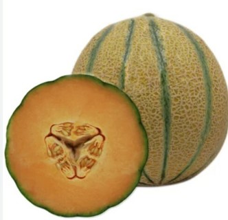 Golden Kiss Melon--15 seeds