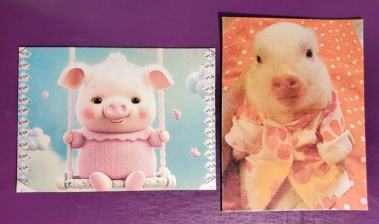 Piggy Magnets