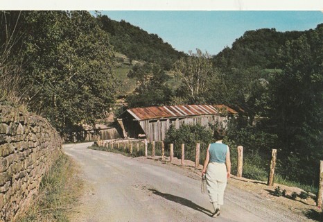 Vintage Unused Postcard: i: Scofield Covered Bridge, Huntington Township, OH